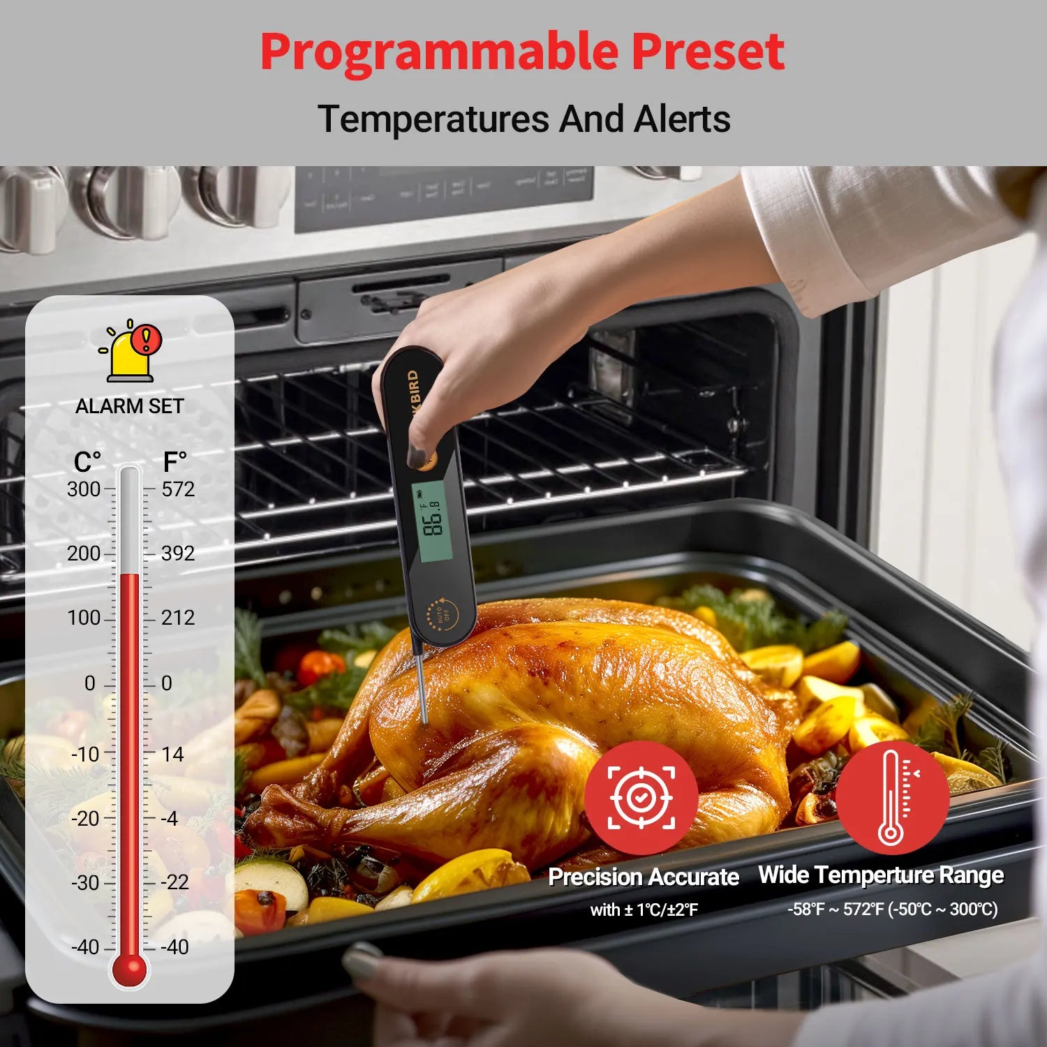 Meat Thermometer