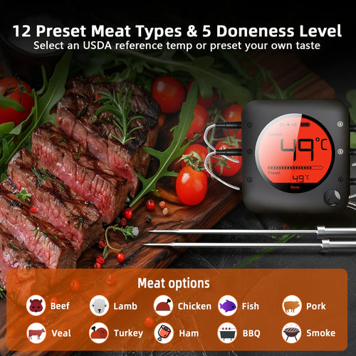Bluetooth Meat Thermometer